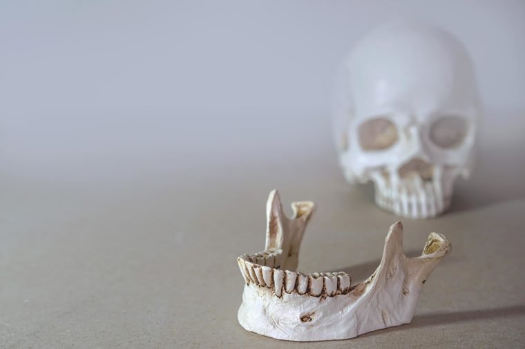 Skull