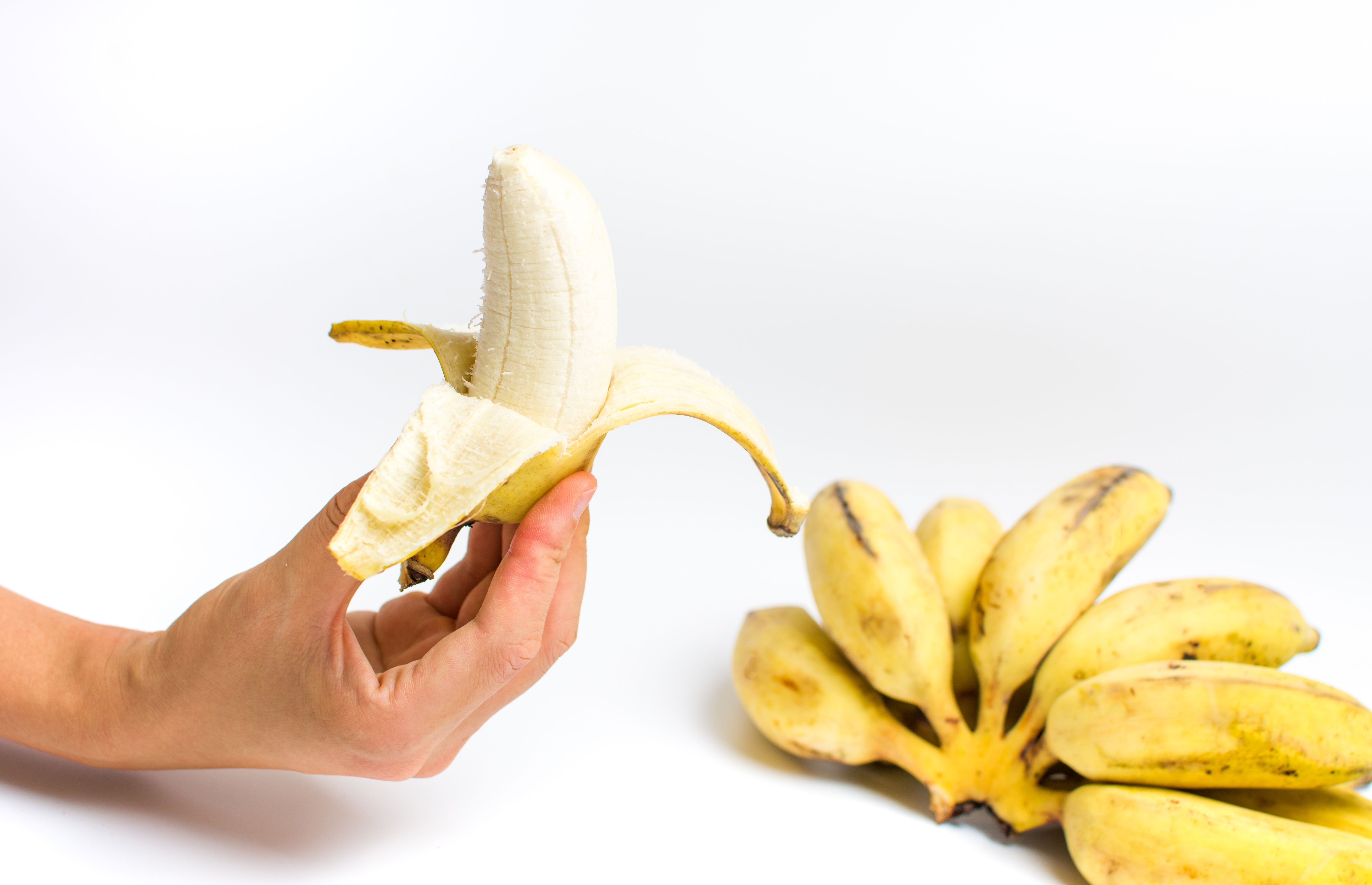 Hand holding small tropical banana on white