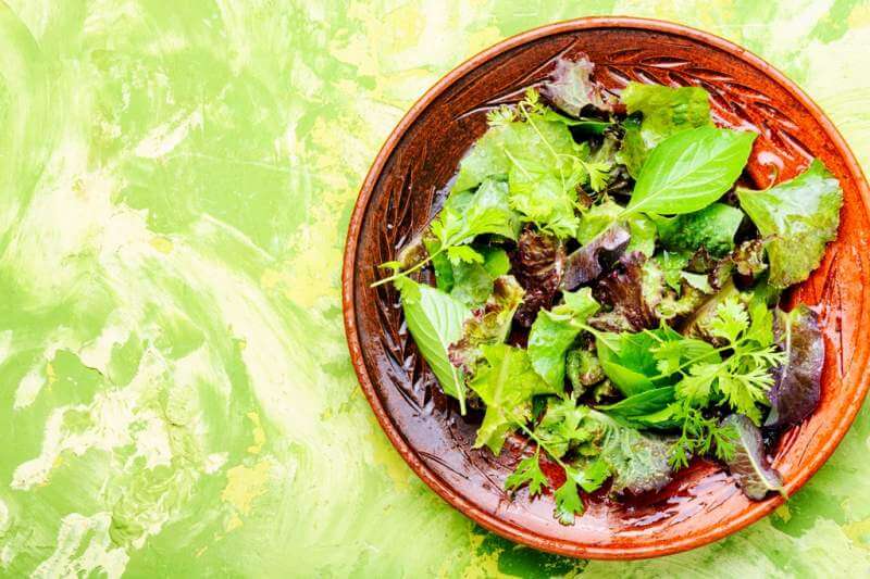 healthy-green-salad