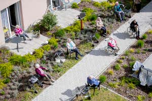 New Scientist Default Image