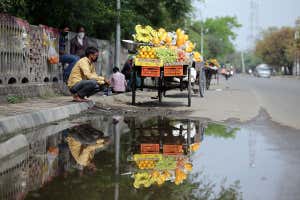 Fruit vendor in Amritsar India