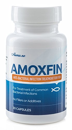 AMOXFIN (500mg / 30 Capsules) for Fish