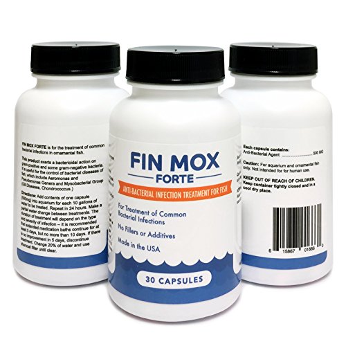 Fin Mox Forte 500Mg 30 Ct