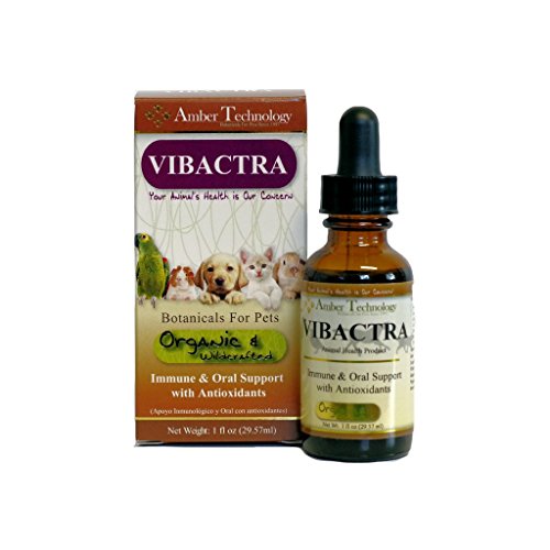 Vibactra - All-Natural Antibiotic Alternative for Pets (1oz)