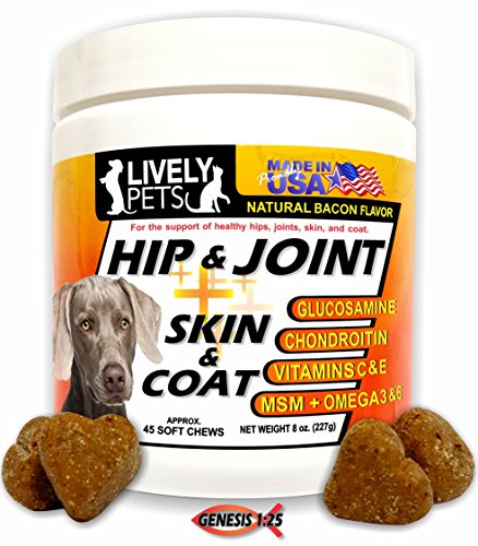 Premium Hip and Joint Soft Chews + Skin and Coat Supplement Glucosamine Chondroitin for Dogs MSM Omega 3 Dog Treat for Arthritis Hip Dysplasia Pain Medicine for Dogs Hip Joint Supplements for Joints