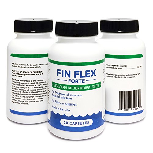 Fin Flex Forte 500 Mg 30 Count