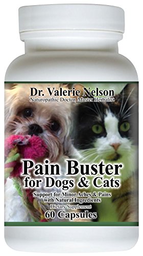 Dr. Val's Pain Buster Dogs & Cats ~ Joint & Muscle Pain & Inflammation With MSM, Hyaluronic Acid, Turmeric & More