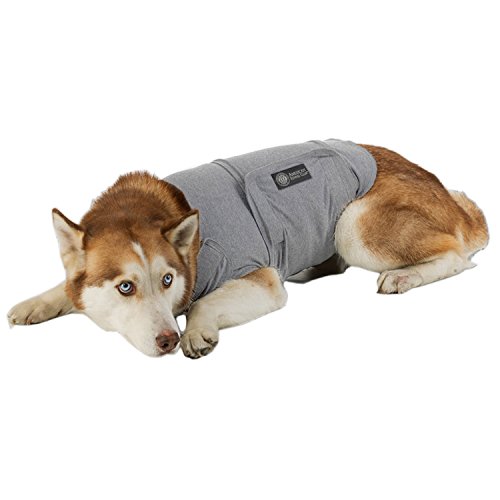 American Kennel Club Anti Anxiety and Stress Relief Calming Coat for Dogs, Extra Large, Grey