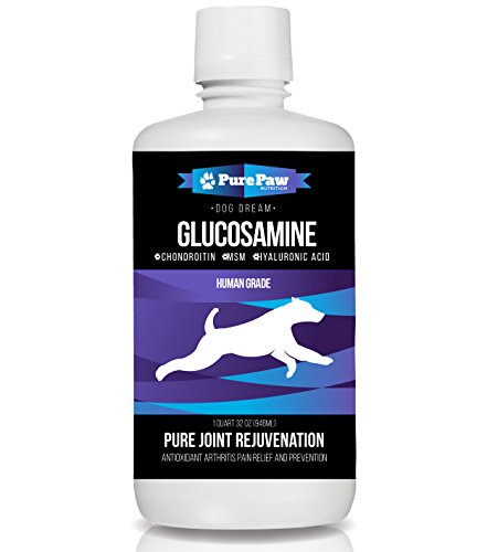 Premium Liquid Glucosamine for Pets Best Dog & Cat Anti-Aging Natural Medicine for Joint Arthritis & Hip Dysplasia Pain Relief Chondroitin MSM Hyaluronic Acid CoQ10 Vitamins C & B Complex Made in USA