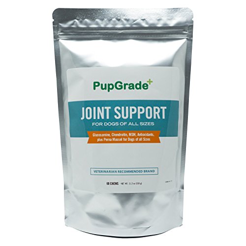 PupGrade Joint Supplements for Dogs - Best Dog Supplement for Good Joint Care, Relieves Hip Pain in Dogs, Glucosamine, Chondroitin & MSM for Dogs, All Natural Treats, Made in USA - 60 Chews