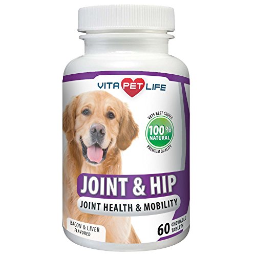 Glucosamine for Dogs, Joint and Hip Support for Dogs, MSM, Chondroitin, Pain Relief from Arthritis, Joint Inflammation and Dysplasia, Promotes Healthy Cartilage and Mobility, 100% Natural Chews.