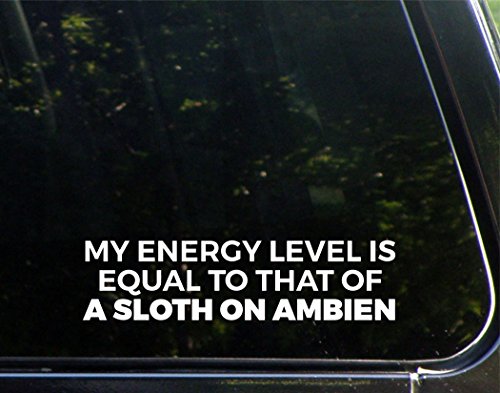 My Energy Level Is Equal To That Of A Sloth On Ambien - 8 3/4