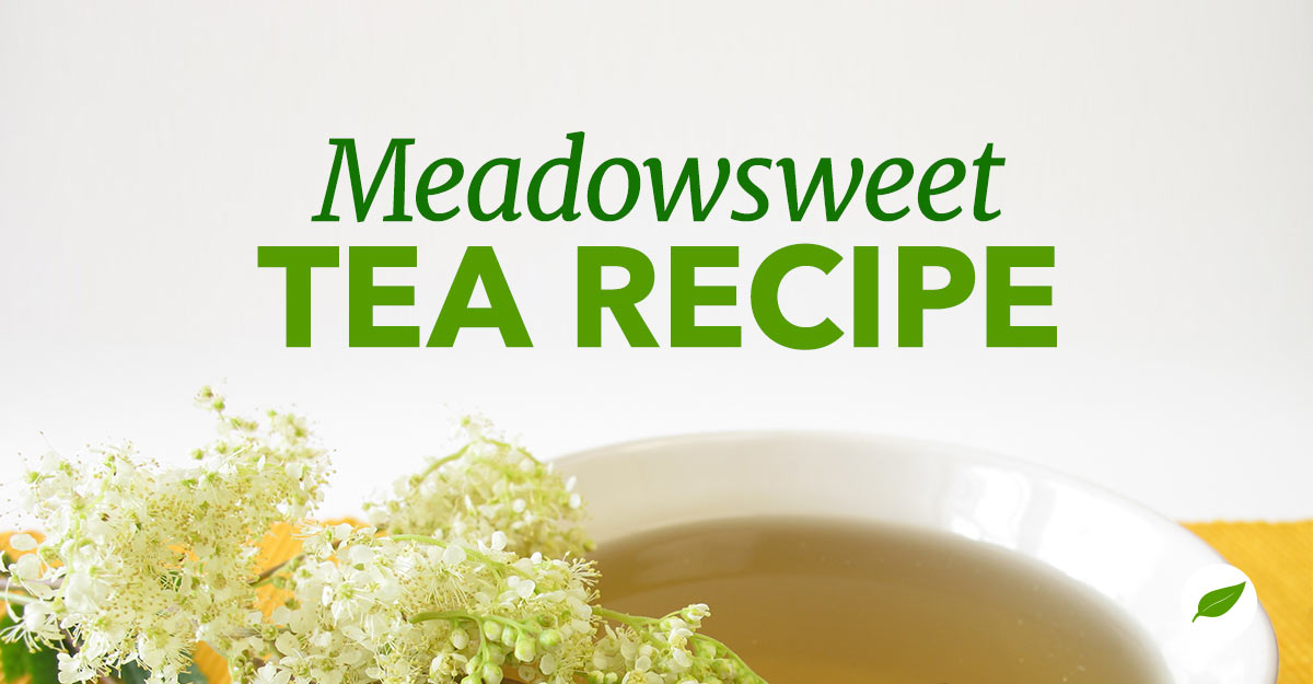 meadowsweet tea
