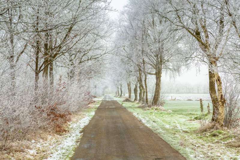 frozen-frisian-winter-road