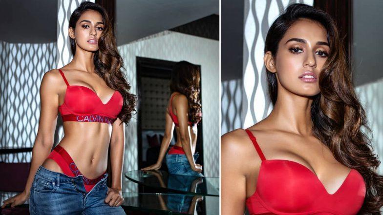From Dog Food To Lingerie: Disha Patani's Instagram Page Looks Like An Online Shopping Mall!