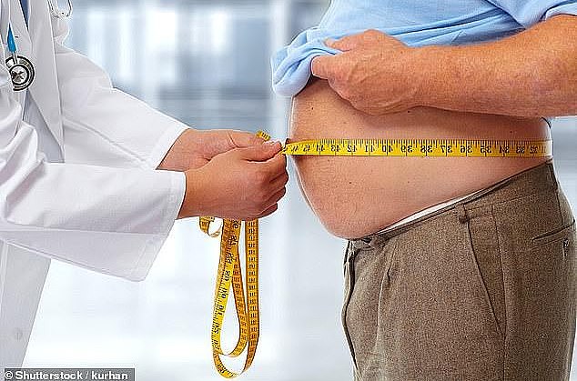 A new study from Aarhus University Hospital in Denmark has found that being overweight or obese increases the risk of all cancers, obesity and non-obesity related, by 12% (file image)