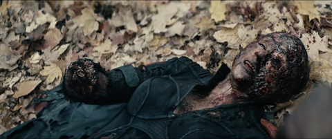 stormfront burned body