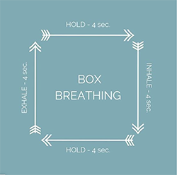 nutritionists guide to reducing anxiety box breathing 
